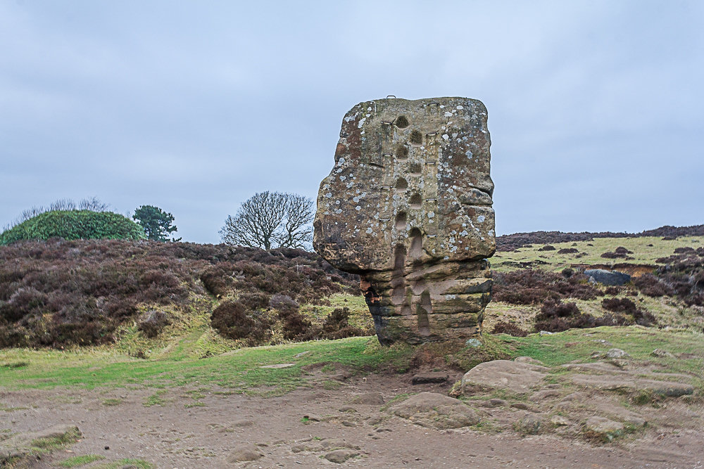 Cork Stone